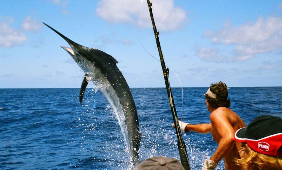 Pescadores al amanecer: la rutina diaria en los muelles de Zihuatanejo
